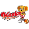 Mitsubishi Koalas (Women)