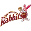 Toyota Boshoku Sunshine Rabbits (Women)