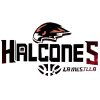 Halcones