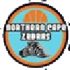 Northern Cape Zebras