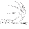 MS Academy