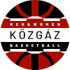 Kozgaz SC DSC II