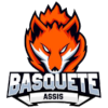 Assis Basket