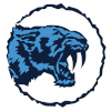 Sturt Sabres