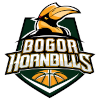 Bogor Hornbills