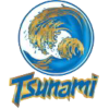 Tsunami