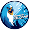 Adamson Falcons (Women)