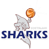 Southland Sharks