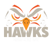 Hawke's Bay Hawks