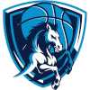 Napoli Basket