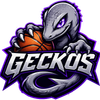 Geckos
