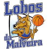Lobos da Malveira