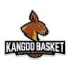 Kangoo Basket