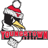 Youngstown State Penguins