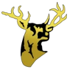 San Sebastian Golden Stags (Youth)