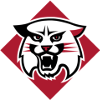 Davidson Wildcats
