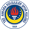 TED Ankara Kolejliler