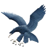 ADMU Eagles (Women)