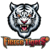 Jiangsu Xiangjiang Tiger 3x3