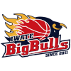 Iwate Big Bulls