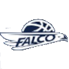 Falco Gent