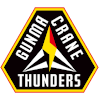 Gunma Crane Thunders