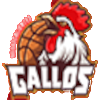 Gallos de Aguascalientes