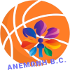Anemonh