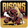 Bisons FB