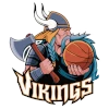 Vikings FB