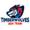 ASA Timberwolves