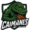 Caimanes del Llano