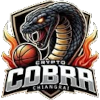 Crypto Cobra