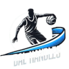 BAL Handles