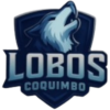 Lobos Coquimbo U21