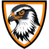 Amur Falcons
