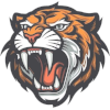 Tandur Tigers
