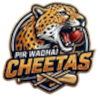 Pir Wadhai Cheetas