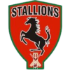 Stallions Minnesota