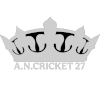 A.N 27