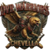 DVR Warriors