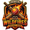 Wildfires