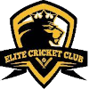 Elite McKinney