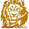 Gujarat Lions VDCA