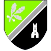 Holywood 1st XI (Women)