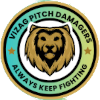 Vizag Pitch Damagers