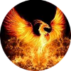 Phoenix LCCL