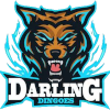 Darling Dingoes