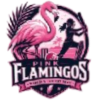 Pink Flamingos (Women)