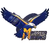 Mission Hawks I